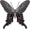 Avatar for tiiana